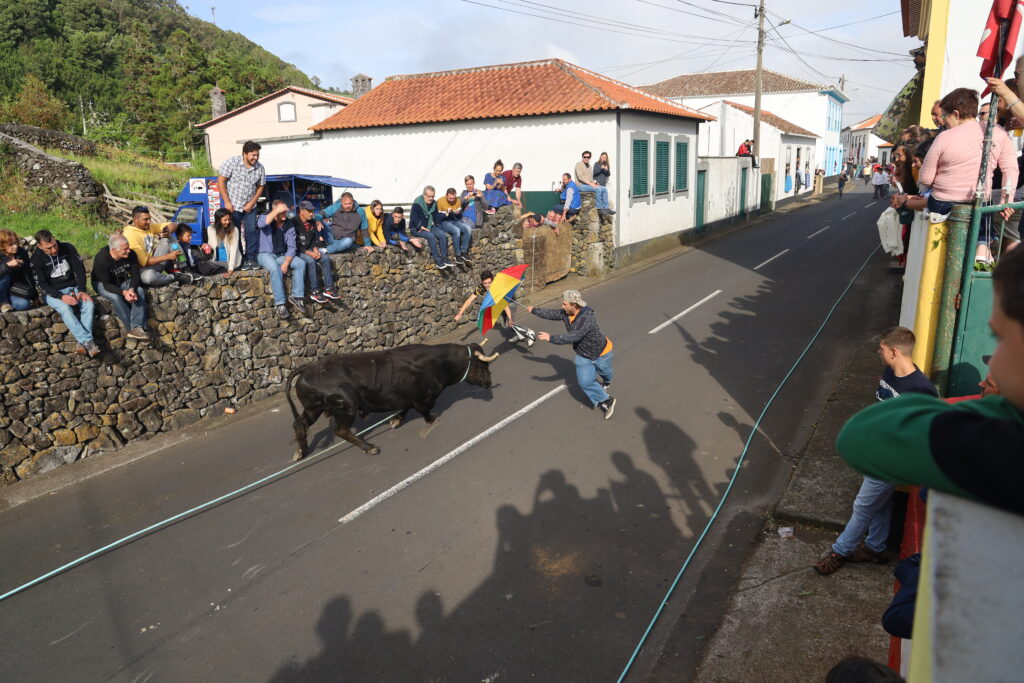 Tradycja z wyspy Terceira - tourada à corda